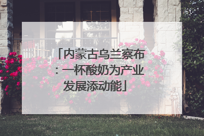 内蒙古乌兰察布：一杯酸奶为产业发展添动能