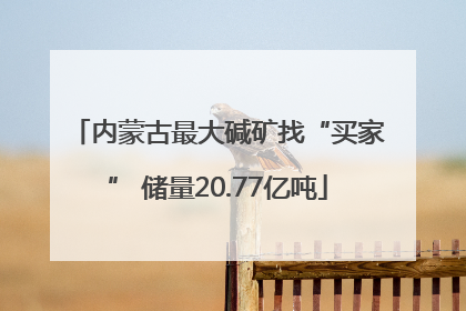 内蒙古最大碱矿找“买家” 储量20.77亿吨