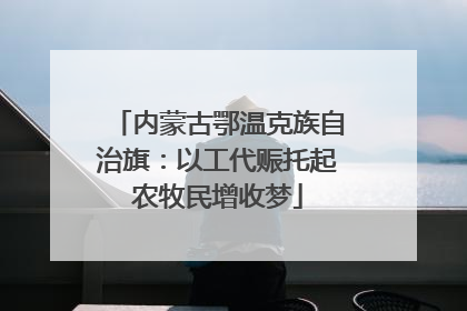 内蒙古鄂温克族自治旗：以工代赈托起农牧民增收梦