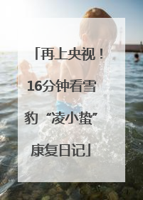 再上央视！16分钟看雪豹“凌小蛰”康复日记