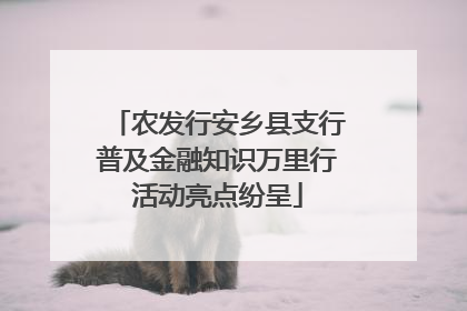 农发行安乡县支行普及金融知识万里行活动亮点纷呈
