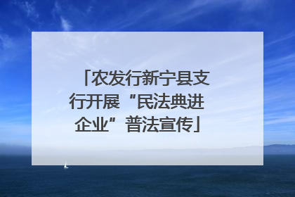 农发行新宁县支行开展“民法典进企业”普法宣传