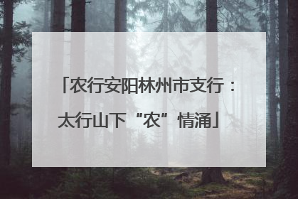 农行安阳林州市支行：太行山下“农”情涌