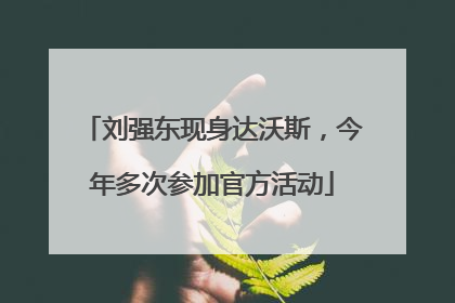 刘强东现身达沃斯，今年多次参加官方活动