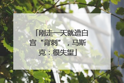 刚走一天就遭白宫“背刺”，马斯克：很失望