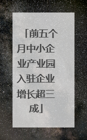 前五个月中小企业产业园入驻企业增长超三成