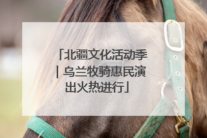 北疆文化活动季｜乌兰牧骑惠民演出火热进行