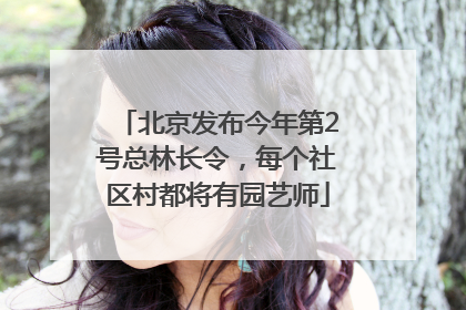 北京发布今年第2号总林长令，每个社区村都将有园艺师