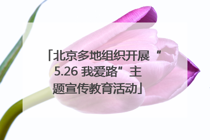 北京多地组织开展“5.26 我爱路”主题宣传教育活动