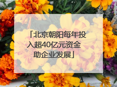 北京朝阳每年投入超40亿元资金助企业发展