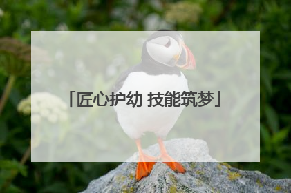 匠心护幼 技能筑梦