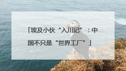 埃及小伙“入川记”：中国不只是“世界工厂”