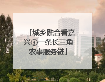 城乡融合看嘉兴③一条长三角农事服务链