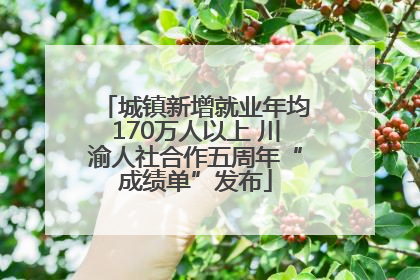 城镇新增就业年均170万人以上 川渝人社合作五周年“成绩单”发布