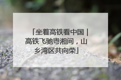 坐着高铁看中国｜高铁飞驰粤湘间，山乡湾区共向荣