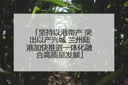 坚持以港带产 突出以产兴城 兰州陆港加快推进一体化融合高质量发展