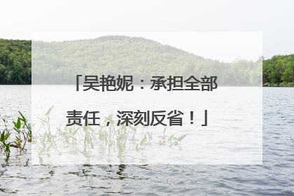 吴艳妮：承担全部责任，深刻反省！