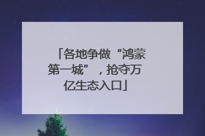 各地争做“鸿蒙第一城”，抢夺万亿生态入口