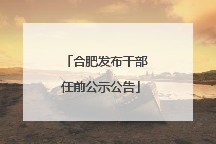 合肥发布干部任前公示公告