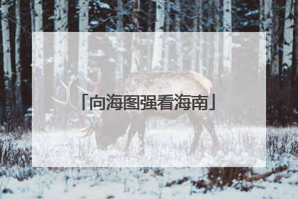 向海图强看海南