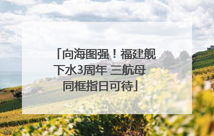 向海图强！福建舰下水3周年 三航母同框指日可待