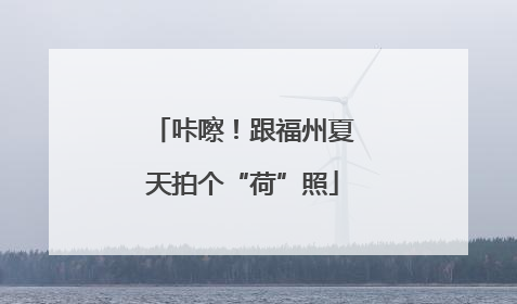 咔嚓！跟福州夏天拍个“荷”照