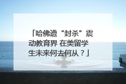 哈佛遭“封杀”震动教育界 在美留学生未来何去何从？