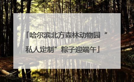 哈尔滨北方森林动物园“私人定制”粽子迎端午