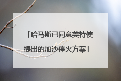哈马斯已同意美特使提出的加沙停火方案