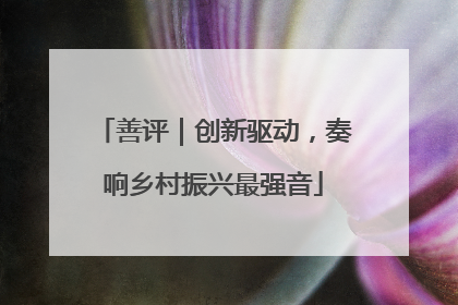 善评｜创新驱动，奏响乡村振兴最强音