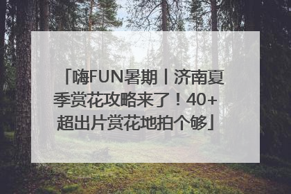 嗨FUN暑期丨济南夏季赏花攻略来了！40+超出片赏花地拍个够