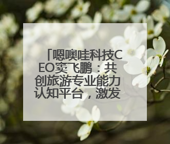 嗯噢哇科技CEO窦飞鹏：共创旅游专业能力认知平台，激发行业“自生长”力量