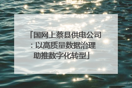 国网上蔡县供电公司：以高质量数据治理 助推数字化转型
