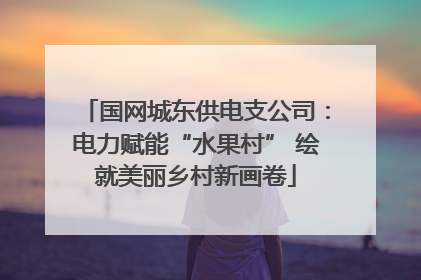 国网城东供电支公司：电力赋能“水果村” 绘就美丽乡村新画卷