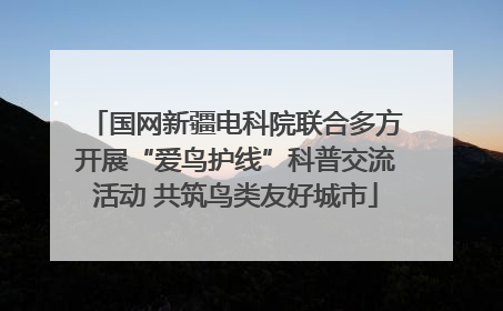 国网新疆电科院联合多方开展“爱鸟护线”科普交流活动 共筑鸟类友好城市