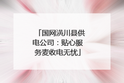 国网潢川县供电公司：贴心服务麦收电无忧
