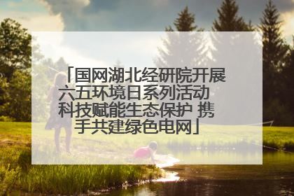 国网湖北经研院开展六五环境日系列活动 科技赋能生态保护 携手共建绿色电网