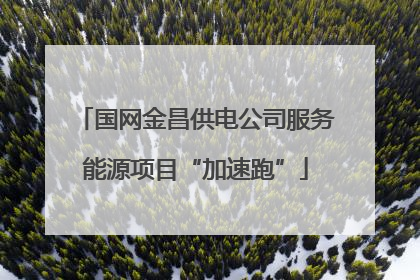 国网金昌供电公司服务能源项目“加速跑”