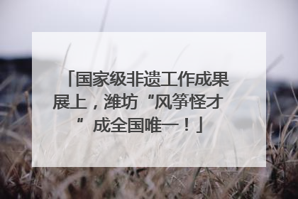 国家级非遗工作成果展上，潍坊“风筝怪才”成全国唯一！