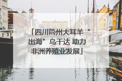 四川简州大耳羊“出海”乌干达 助力非洲养殖业发展