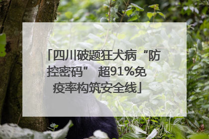 四川破题狂犬病“防控密码” 超91%免疫率构筑安全线