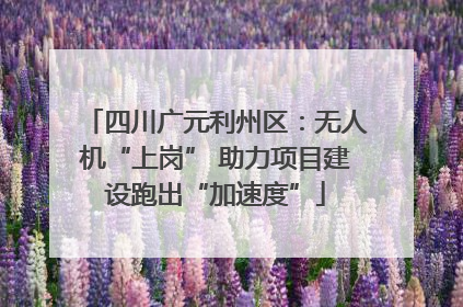 四川广元利州区：无人机“上岗” 助力项目建设跑出“加速度”