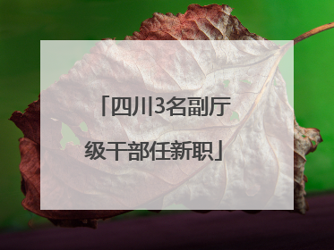 四川3名副厅级干部任新职