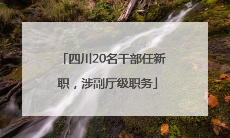 四川20名干部任新职，涉副厅级职务