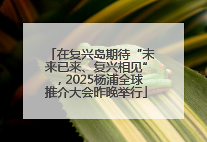 在复兴岛期待“未来已来、复兴相见”，2025杨浦全球推介大会昨晚举行
