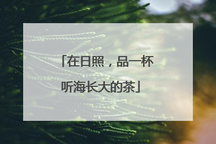 在日照，品一杯听海长大的茶