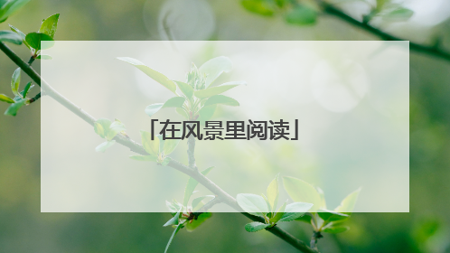 在风景里阅读