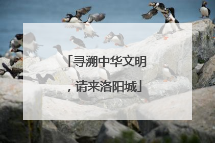 寻溯中华文明，请来洛阳城