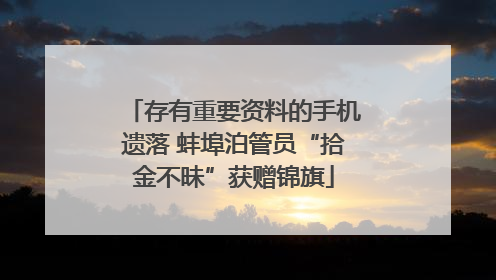 存有重要资料的手机遗落 蚌埠泊管员“拾金不昧”获赠锦旗