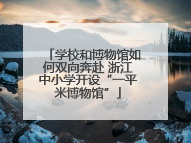 学校和博物馆如何双向奔赴 浙江中小学开设“一平米博物馆”